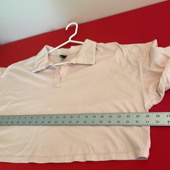 DUSTY ROSE CROPPED T SHIRT (XXL) - Picture 6 of 7